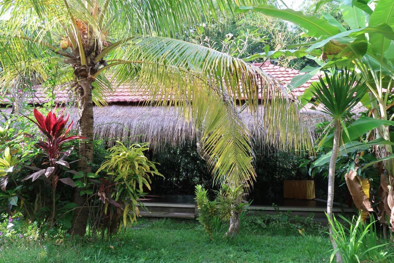 Villa Aditya Tejakula Exterior foto