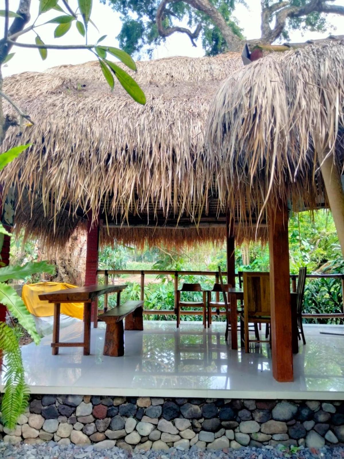 Villa Aditya Tejakula Exterior foto